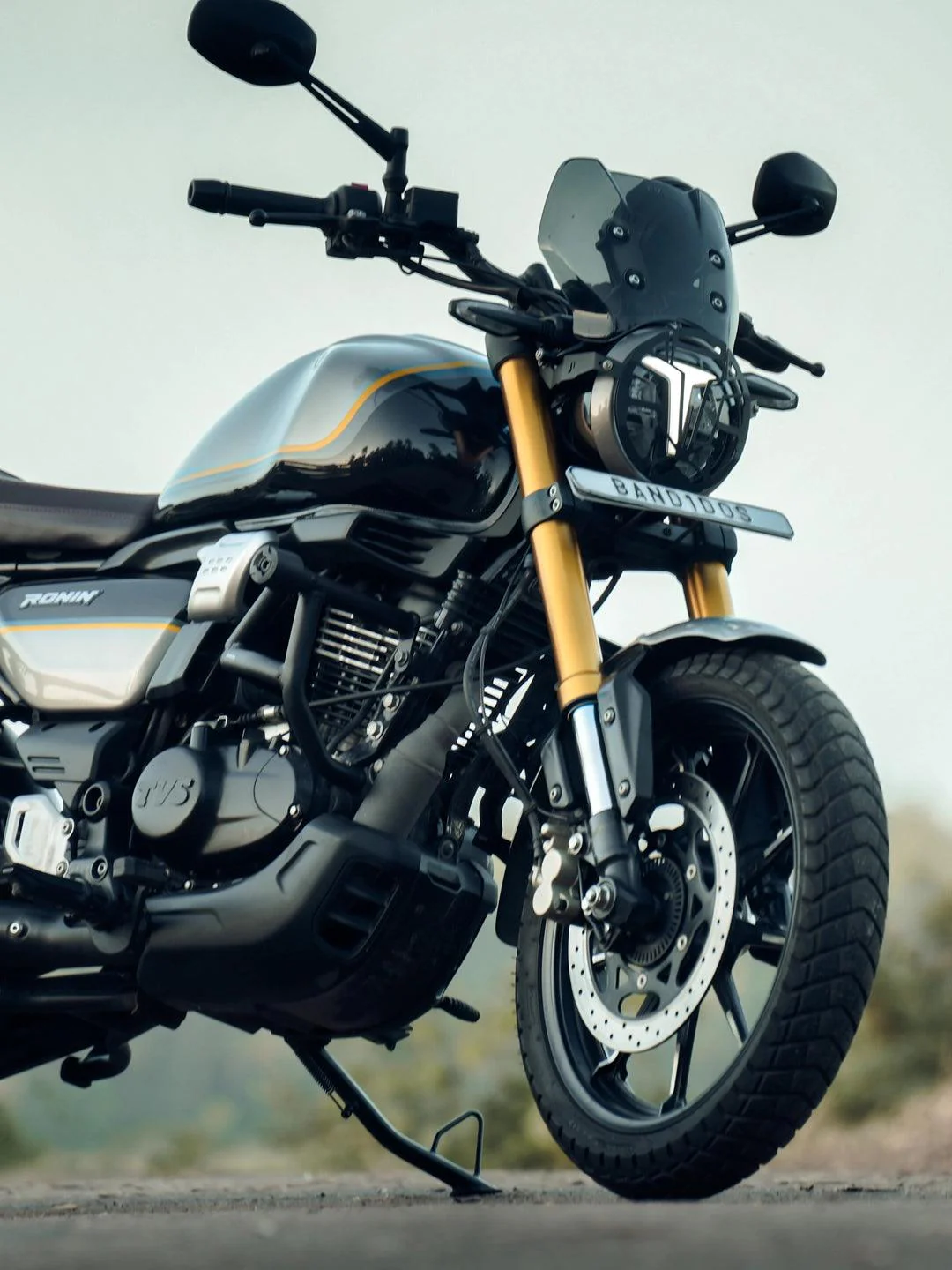 JB TVS Ronin Crashguard With Mat Slider - Image 4