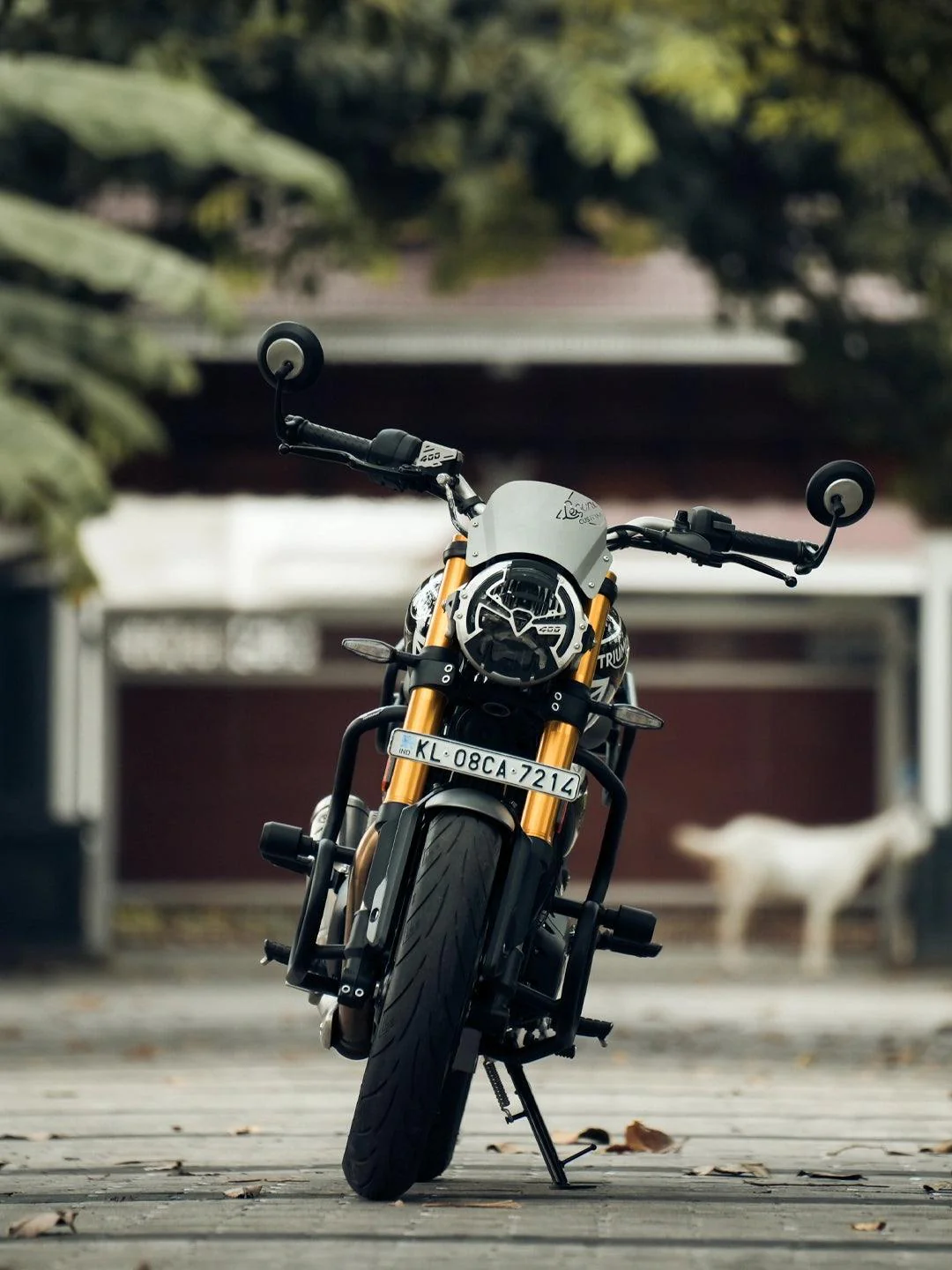 LCB Triumph Speed 400 Thanos Crash guard With Slider - Image 4